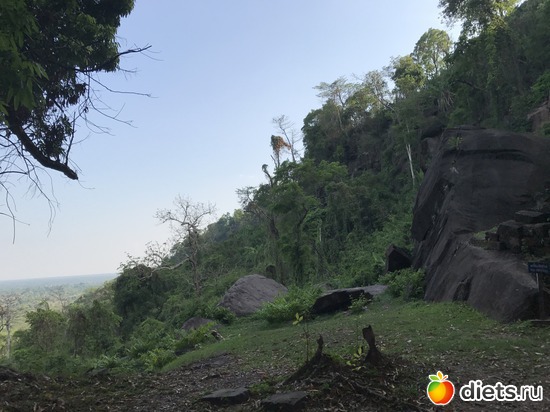 384 ����: ������ 2017. ����