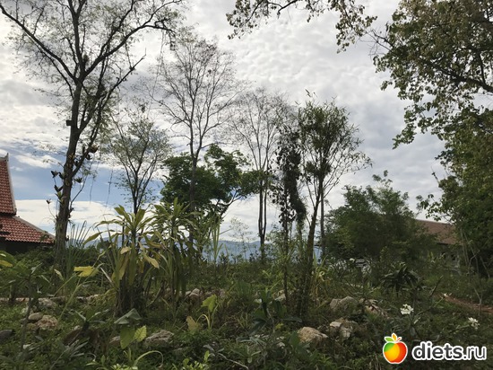 2 ����: ������ 2017. ����