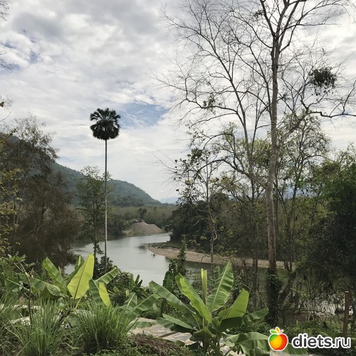 3 ����: ������ 2017. ����