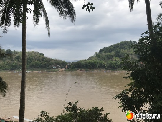 180 ����: ������ 2017. ����