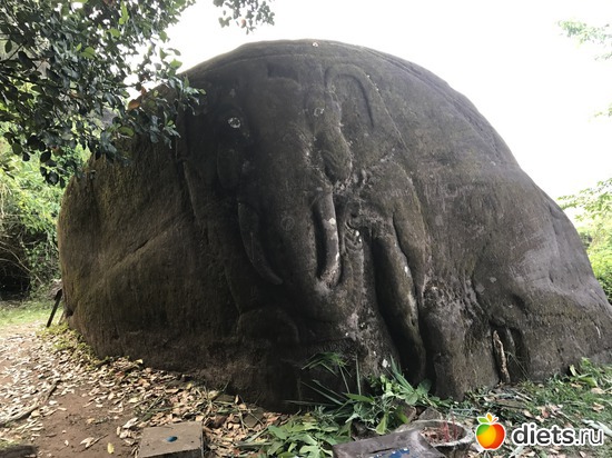 389 ����: ������ 2017. ����