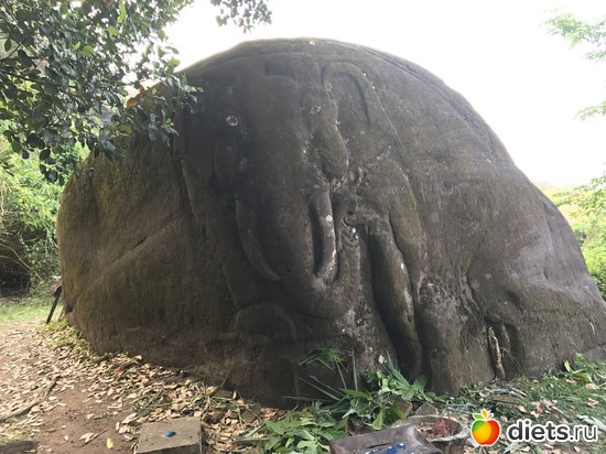 390 ����: ������ 2017. ����