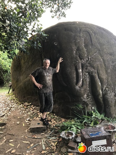 391 ����: ������ 2017. ����