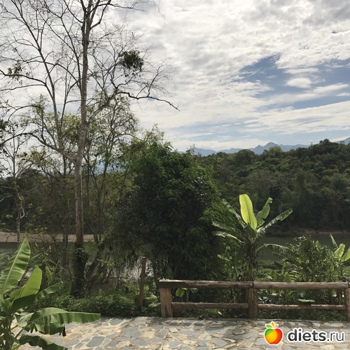 5 ����: ������ 2017. ����