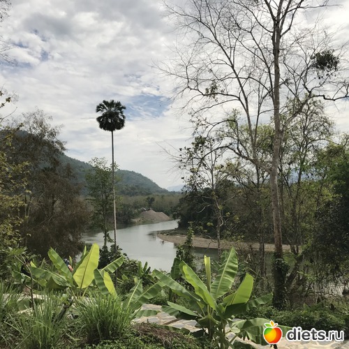 6 ����: ������ 2017. ����