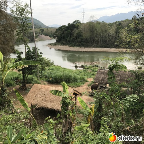 8 ����: ������ 2017. ����