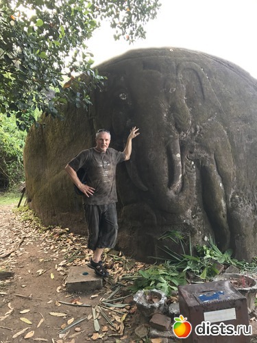 392 ����: ������ 2017. ����