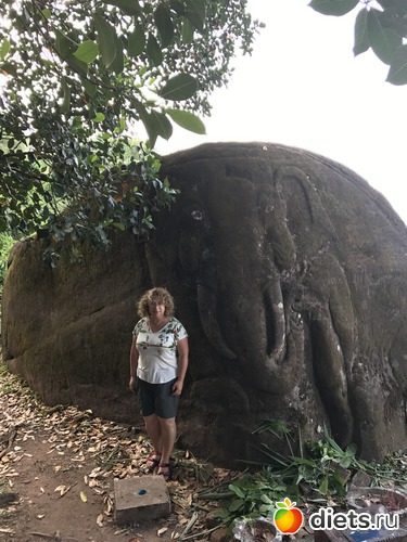 394 ����: ������ 2017. ����