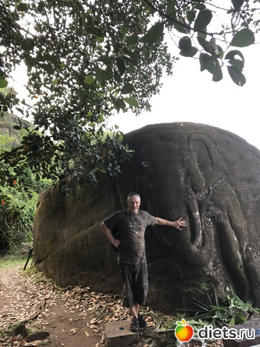 395 ����: ������ 2017. ����