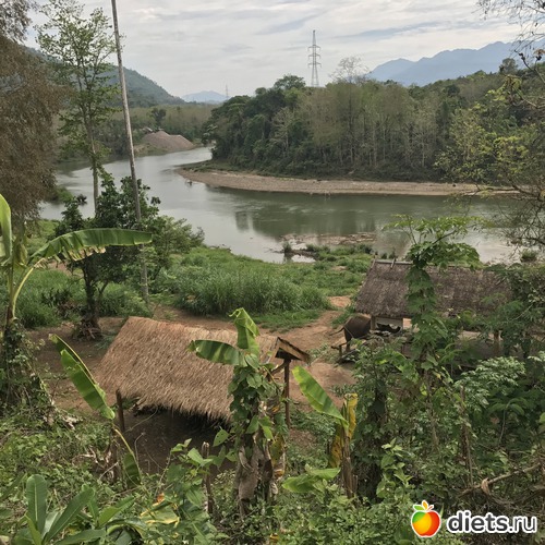 9 ����: ������ 2017. ����