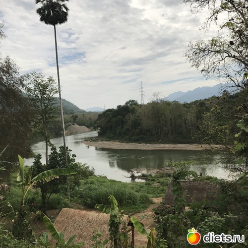 12 ����: ������ 2017. ����