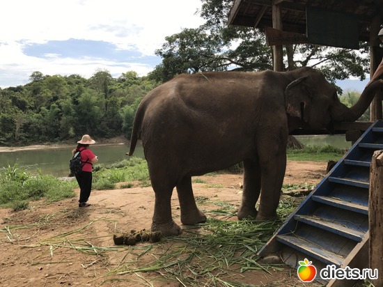 13 ����: ������ 2017. ����