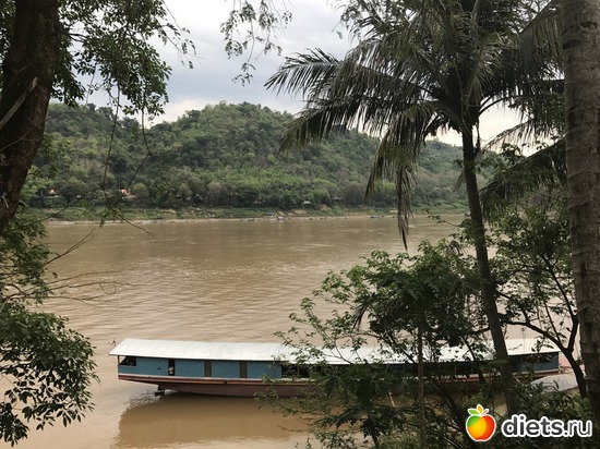 181 ����: ������ 2017. ����