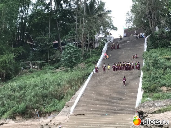 182 ����: ������ 2017. ����