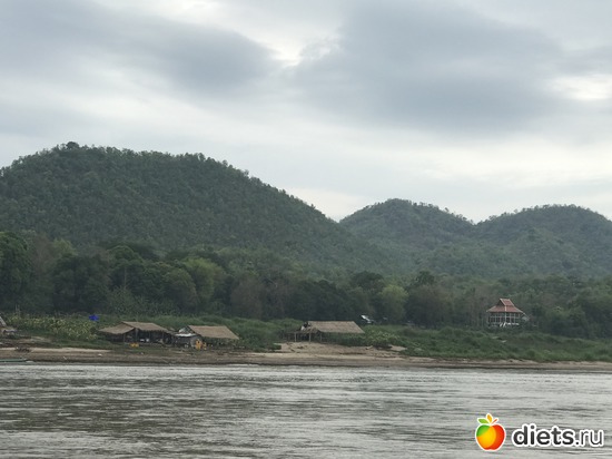 184 ����: ������ 2017. ����