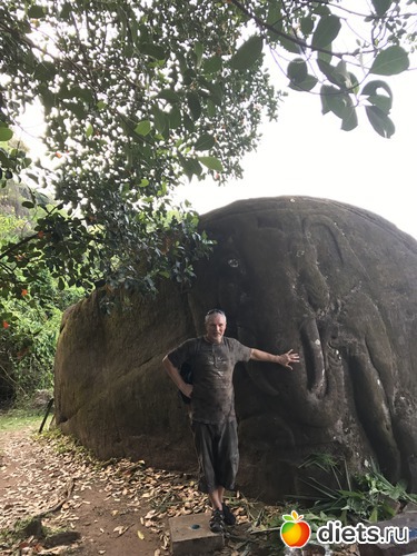 396 ����: ������ 2017. ����