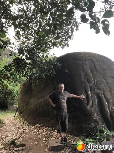 397 ����: ������ 2017. ����