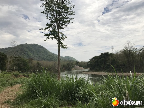 14 ����: ������ 2017. ����