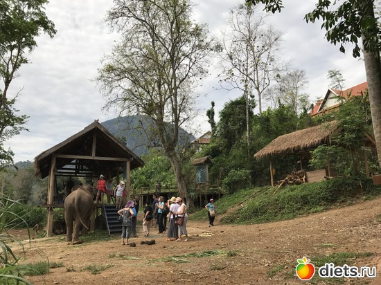 15 ����: ������ 2017. ����