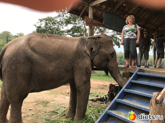 16 ����: ������ 2017. ����