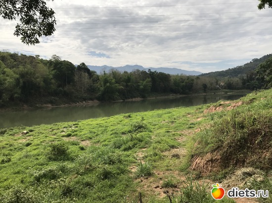 17 ����: ������ 2017. ����