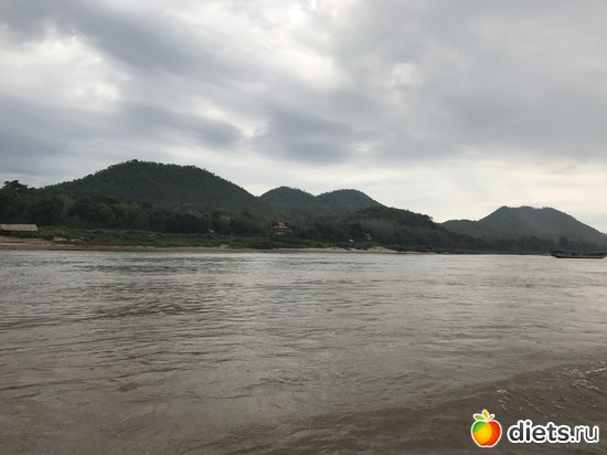 186 ����: ������ 2017. ����