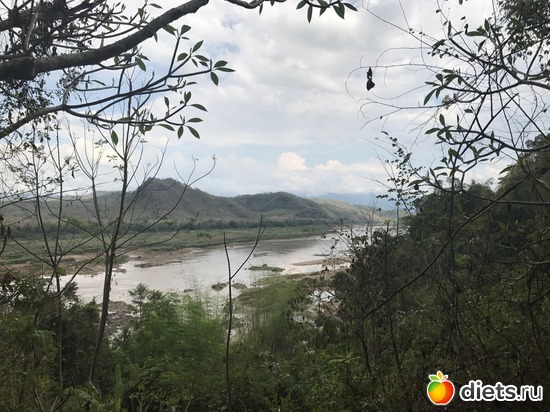 243 ����: ������ 2017. ����