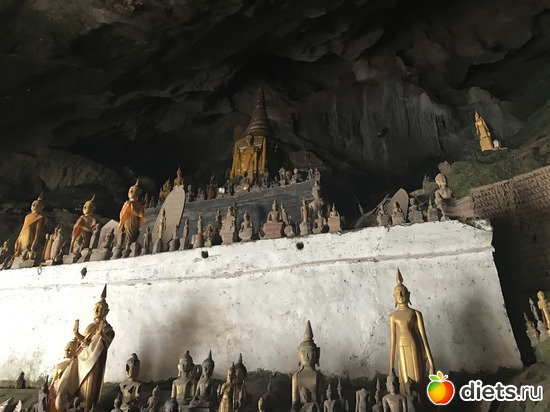 246 ����: ������ 2017. ����