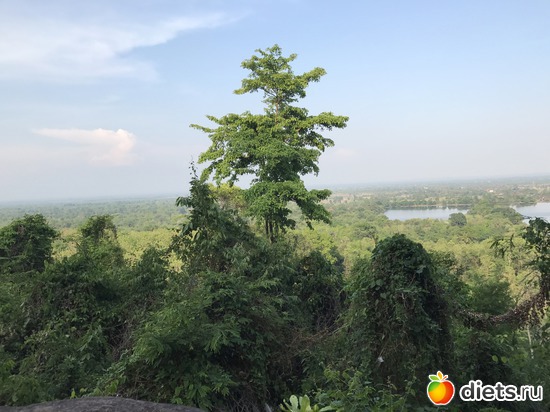 401 ����: ������ 2017. ����