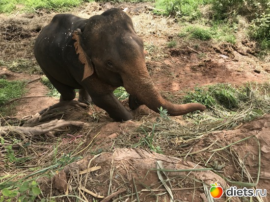 19 ����: ������ 2017. ����