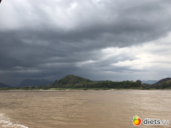 193 ����: ������ 2017. ����