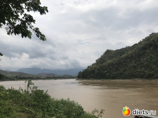 194 ����: ������ 2017. ����