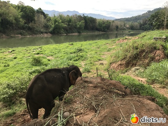 21 ����: ������ 2017. ����