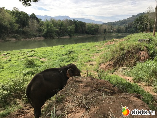 22 ����: ������ 2017. ����