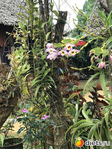 405 ����: ������ 2017. ����