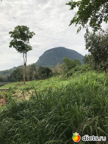 24 ����: ������ 2017. ����