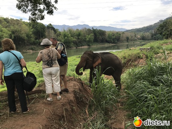 25 ����: ������ 2017. ����