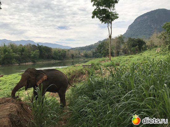 26 ����: ������ 2017. ����