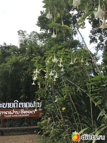 408 ����: ������ 2017. ����