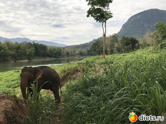 27 ����: ������ 2017. ����