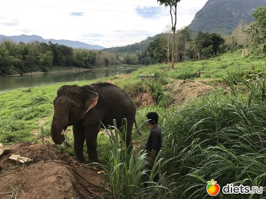 28 ����: ������ 2017. ����