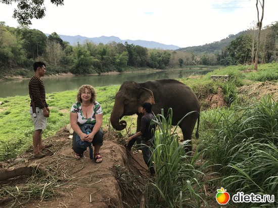 29 ����: ������ 2017. ����