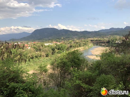 262 ����: ������ 2017. ����