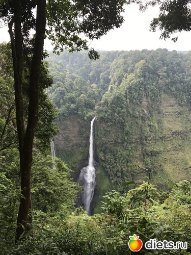 409 ����: ������ 2017. ����