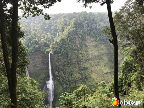 411 ����: ������ 2017. ����