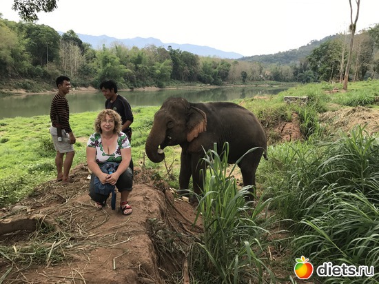 31 ����: ������ 2017. ����