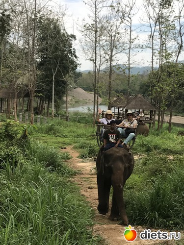 32 ����: ������ 2017. ����