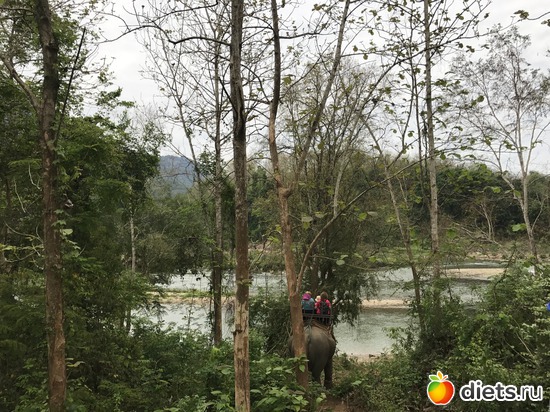 33 ����: ������ 2017. ����