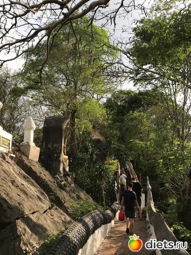 266 ����: ������ 2017. ����