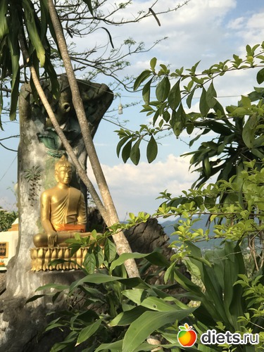 267 ����: ������ 2017. ����